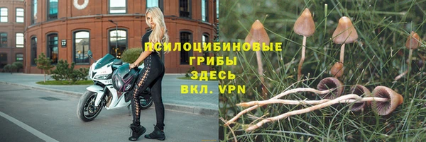 стаф Наволоки